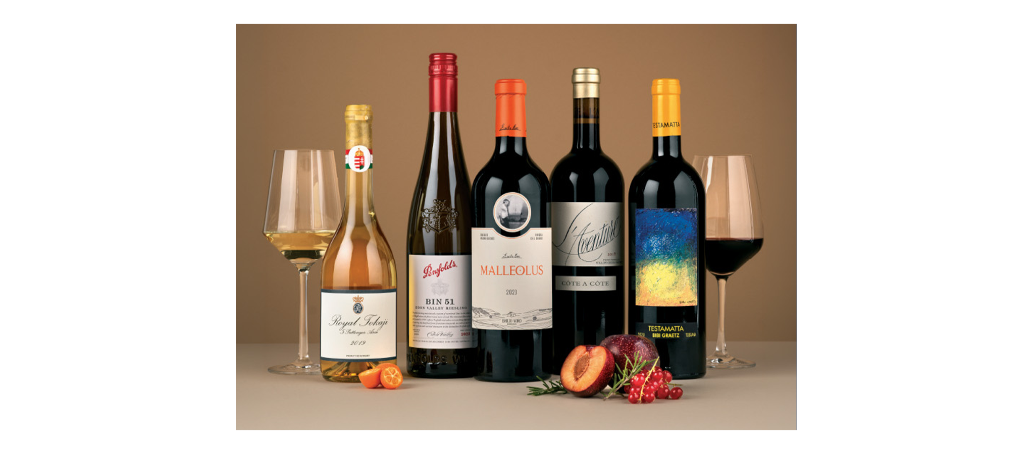 Vinhos do Mundo
