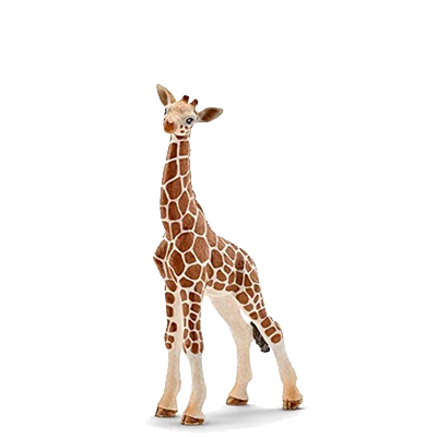 Animais