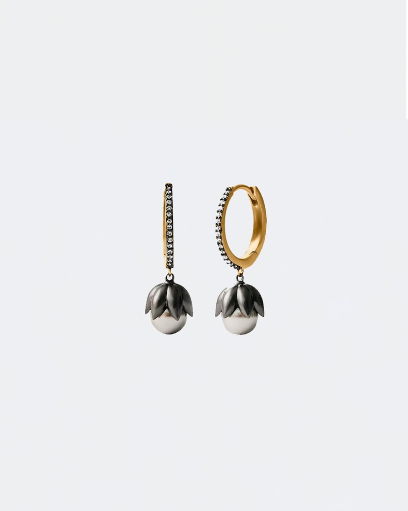 Aristocrazy, coleccion Pre-fall