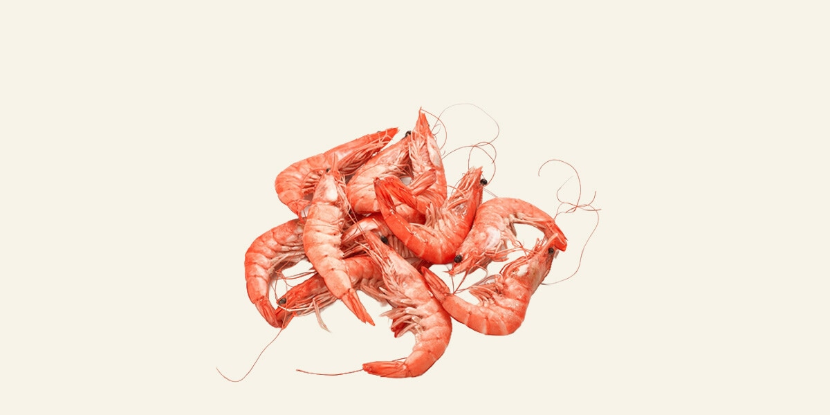 Langostino cocido ASC 30-40 pzas/kg Fresco