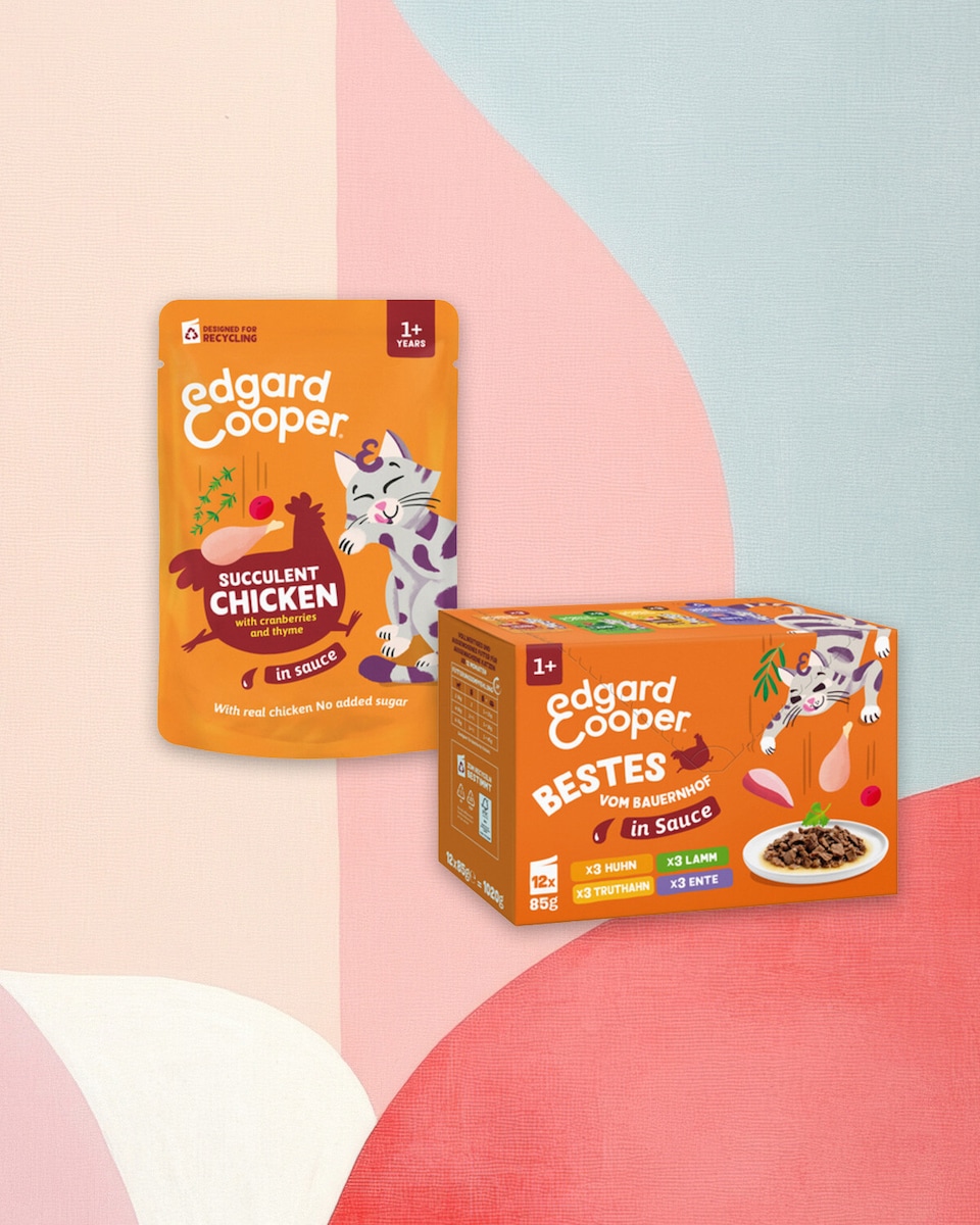 Nuevas recetas de comida húmeda para gatos adultos