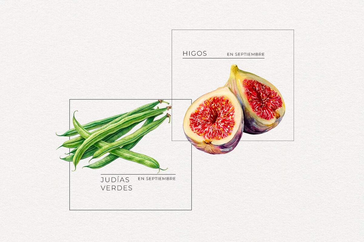Frutas, verduras y hortalizas de septiembre