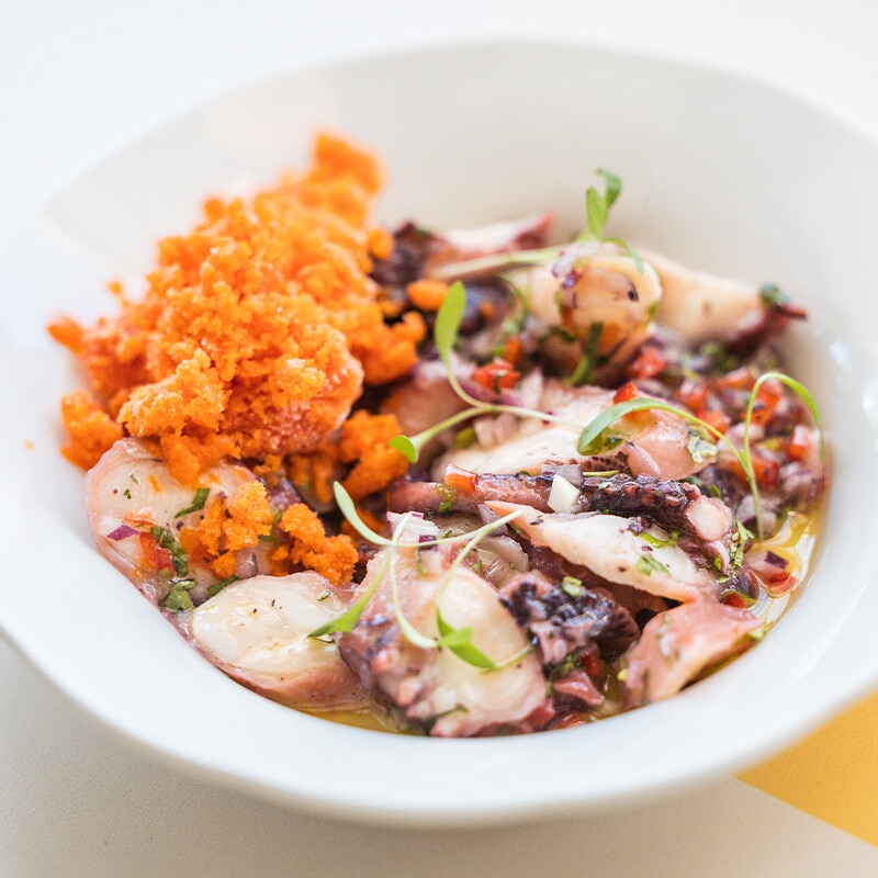 Salada de Polvo