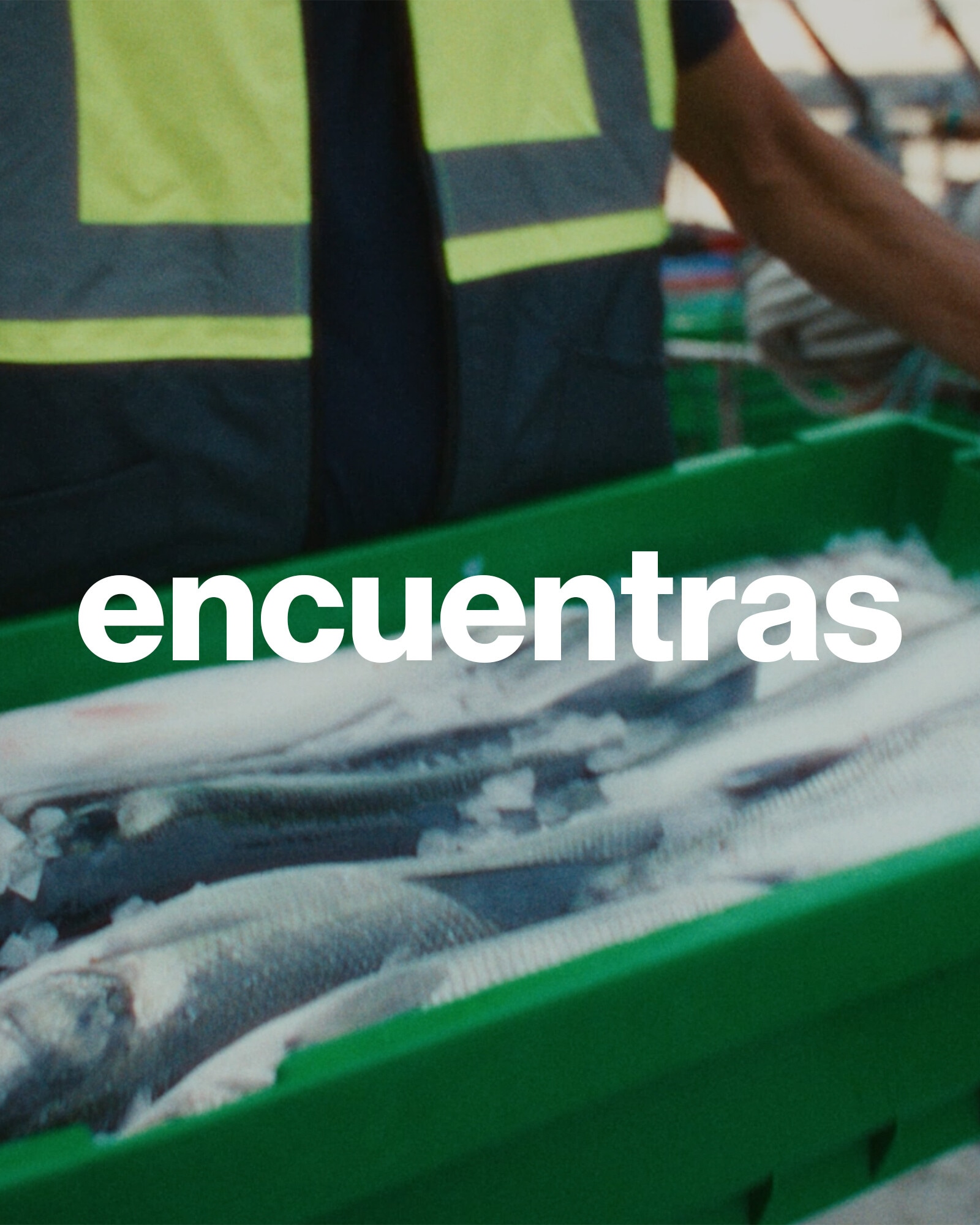 Encuentras