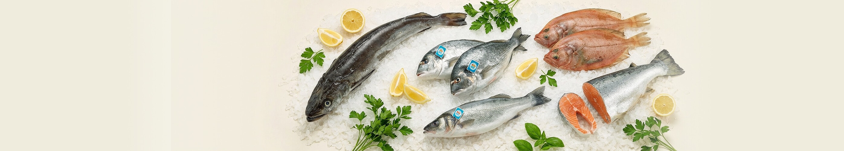 5€ DE REGALO EN PESCADERÍA