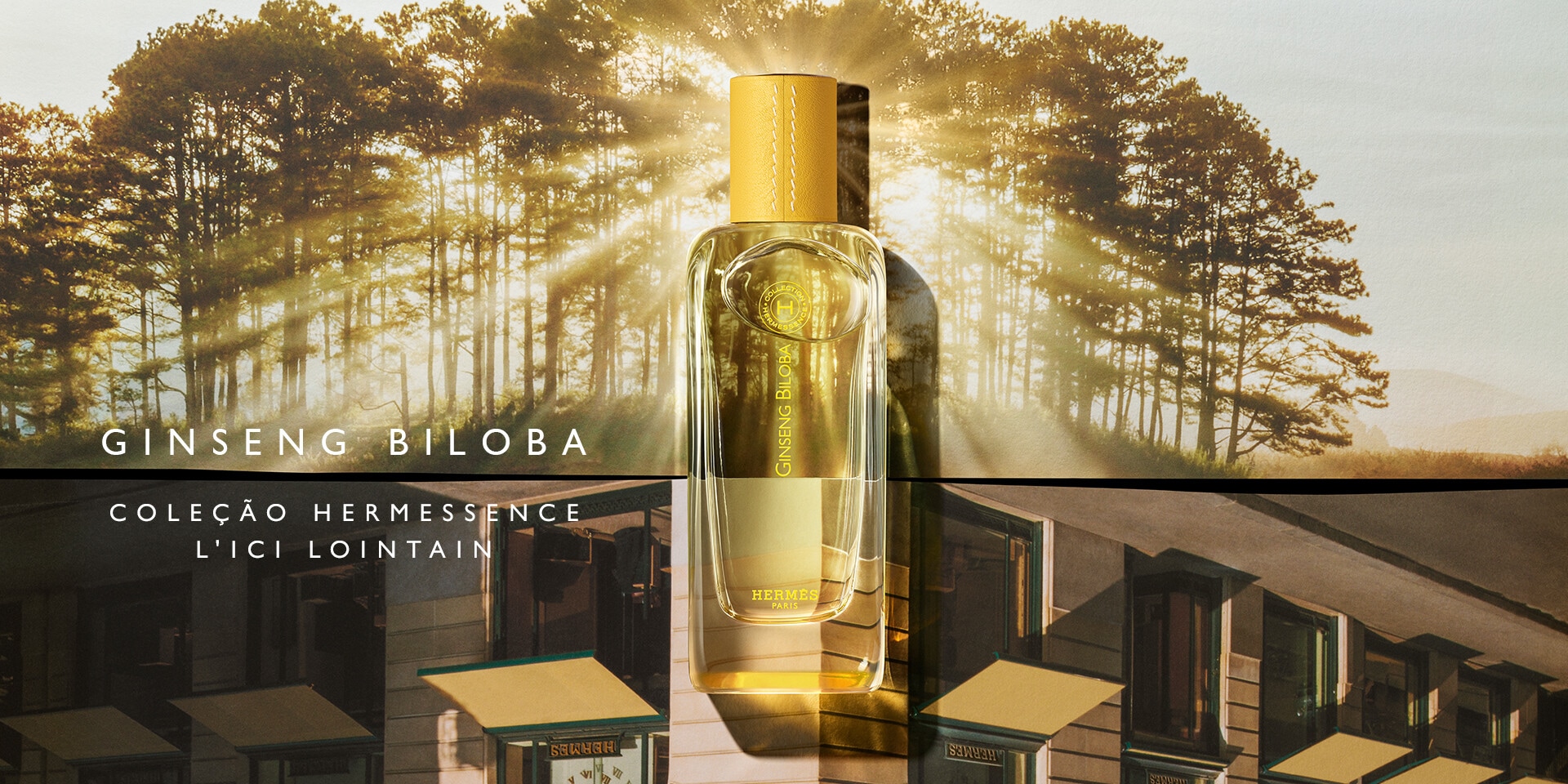 Ginseng Biloba