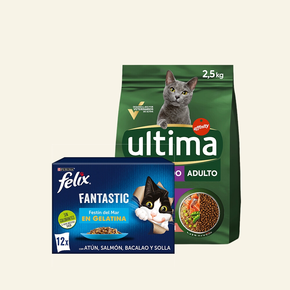 Mascotas