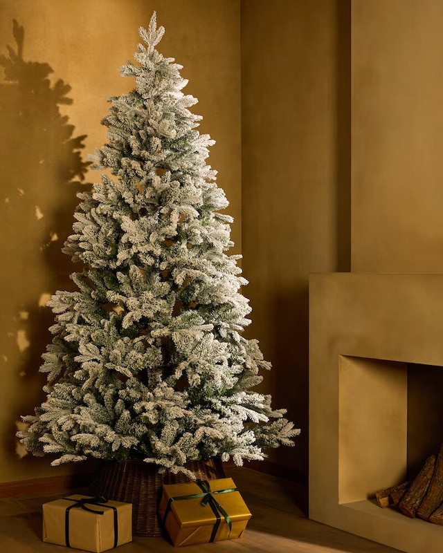 Árvores de Natal com neve