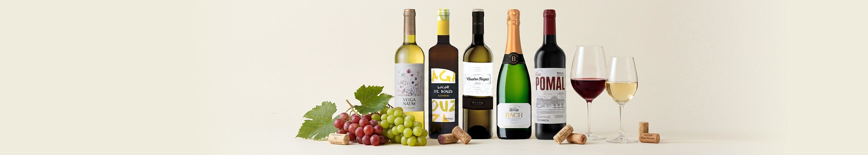 Vinos y espumosos