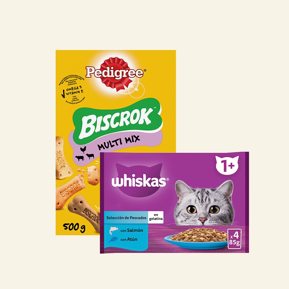 Mascotas