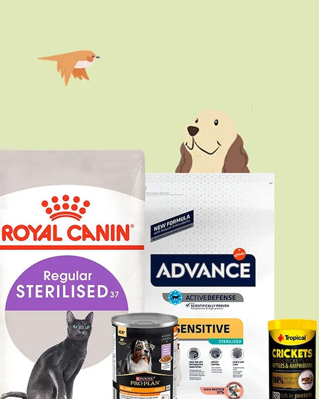 Animais