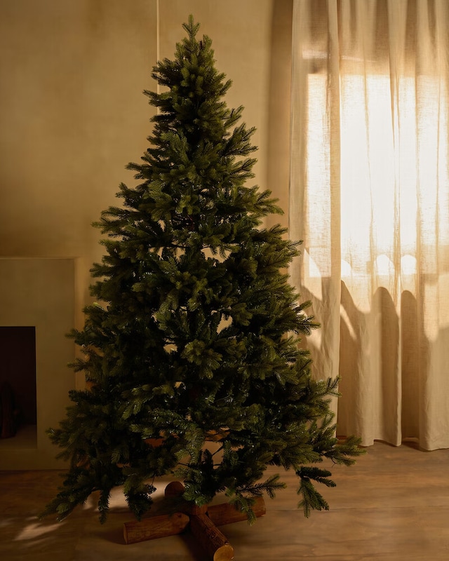 Árvores de Natal de pé