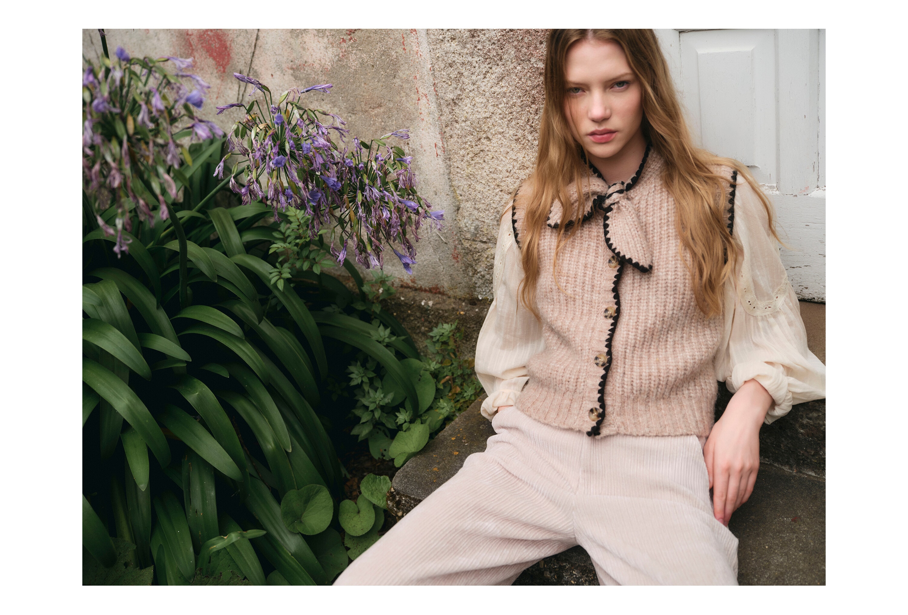 Southern Cotton · Invierno
