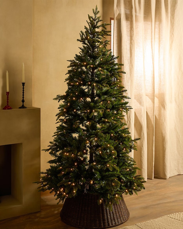 Árvores de Natal verdes