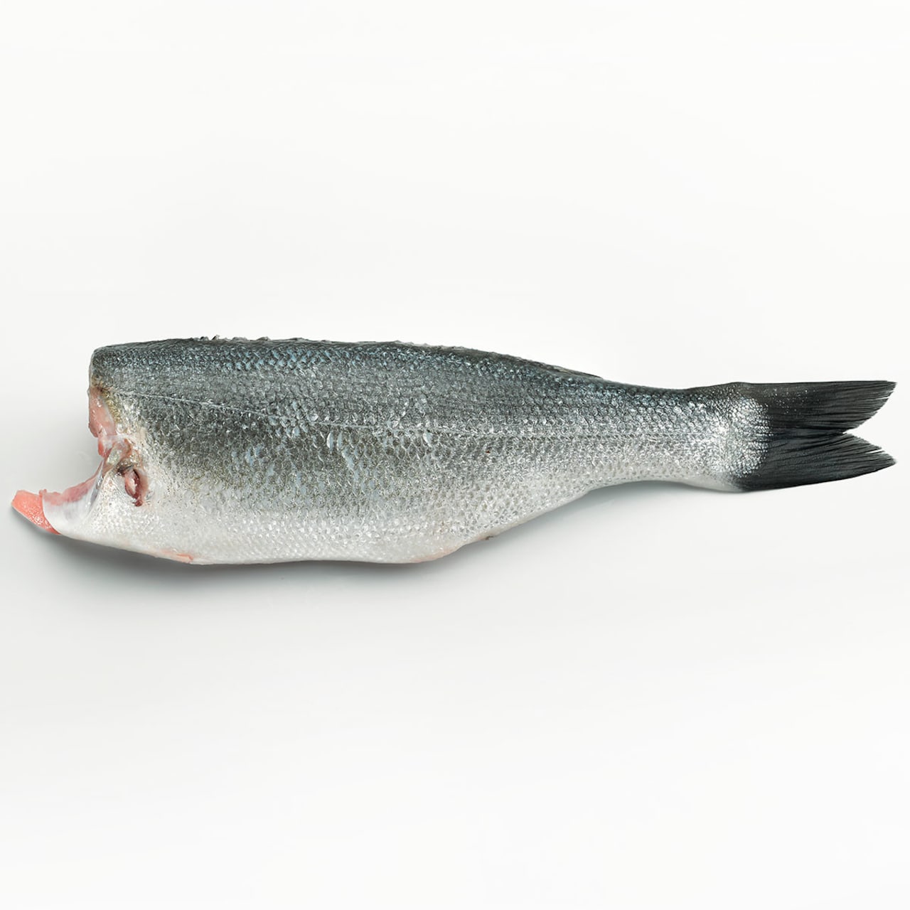 Buy Spanish sea bass piece 9001 kg · Supermercado El Corte Inglés