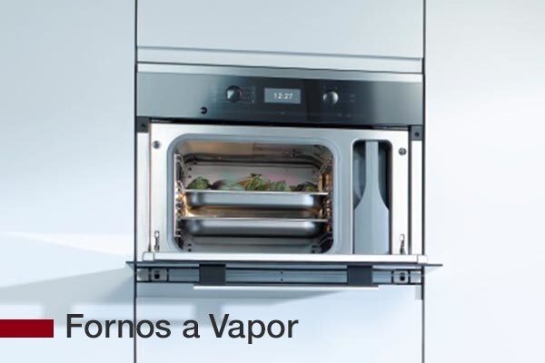 Fornos a Vapor