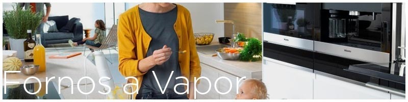 Fornos a Vapor