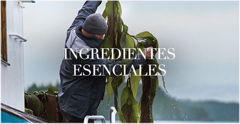 INGREDIENTES ESENCIALES