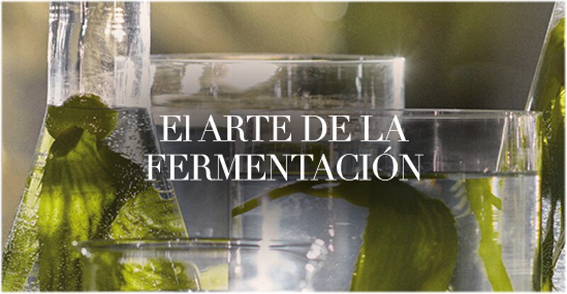 FERMENTACIÓN