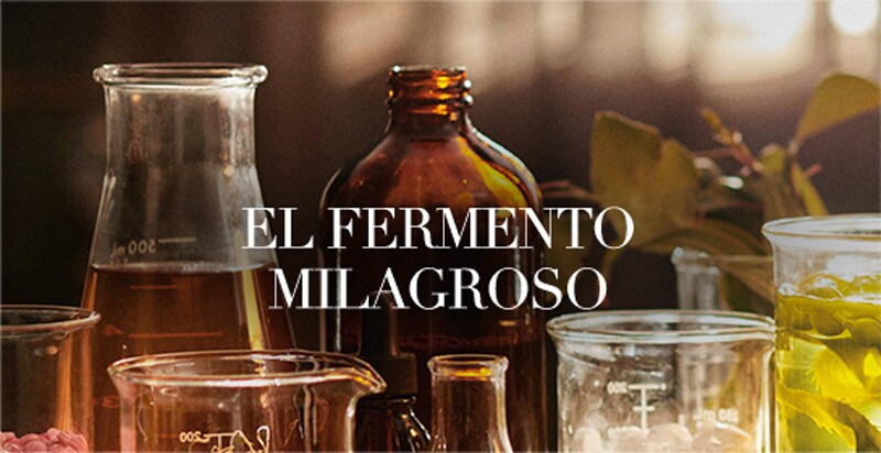EL FERMENTO MILAGROSO