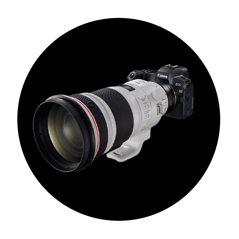 Compatibilidad objetivos