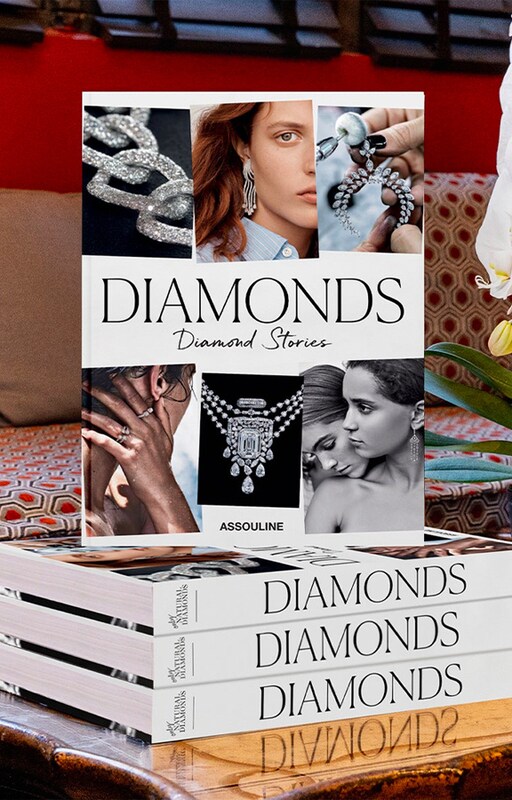 Editorial Livros Casa Contemporaneo assouline