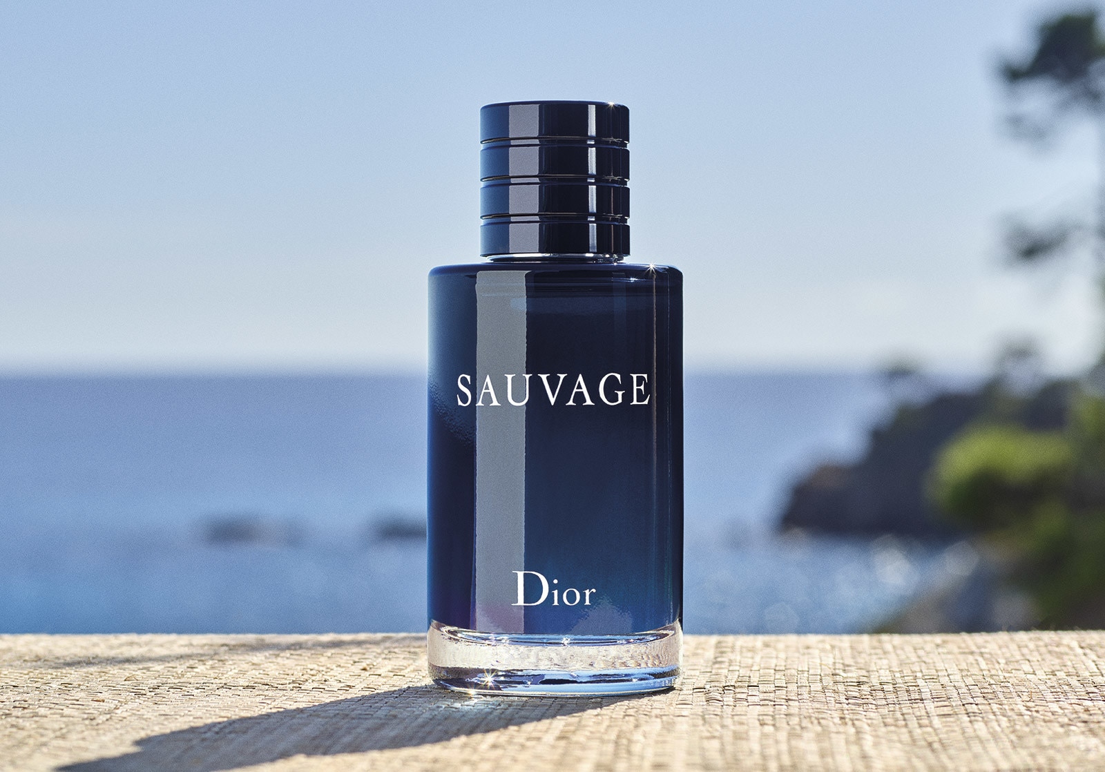 F981 SUMMER ANIMATION 23 P03D Sauvage L4 F39