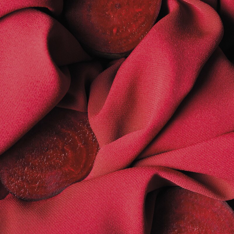 Beterraba