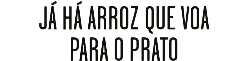 Já há arroz que voa para o prato