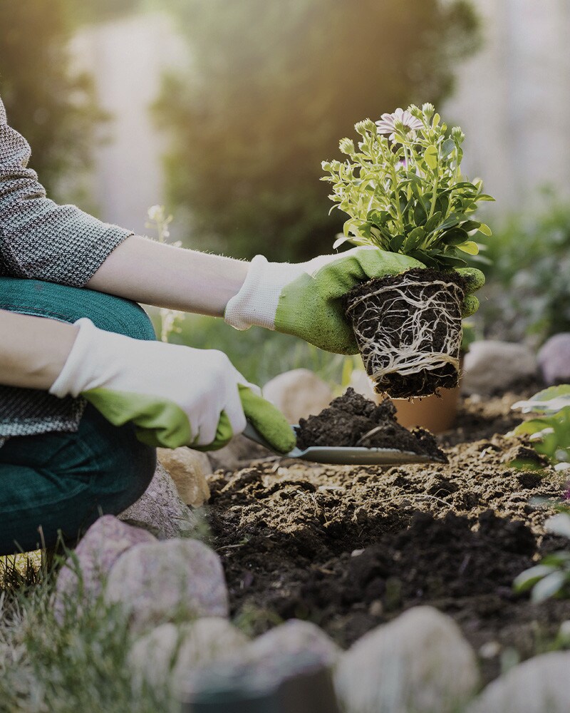TU JARDÍN SIEMPRE A PUNTO