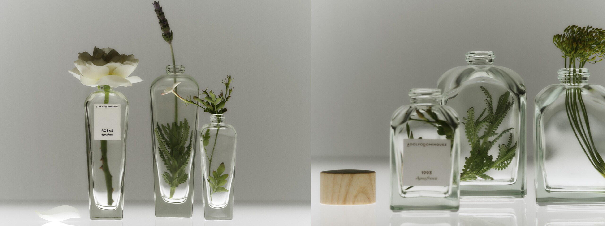 Un viaje hacia la sostenibilidad