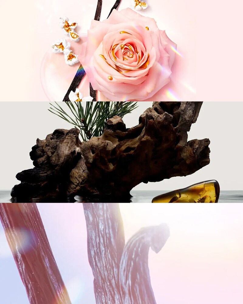 6 Perfumes de Inverno