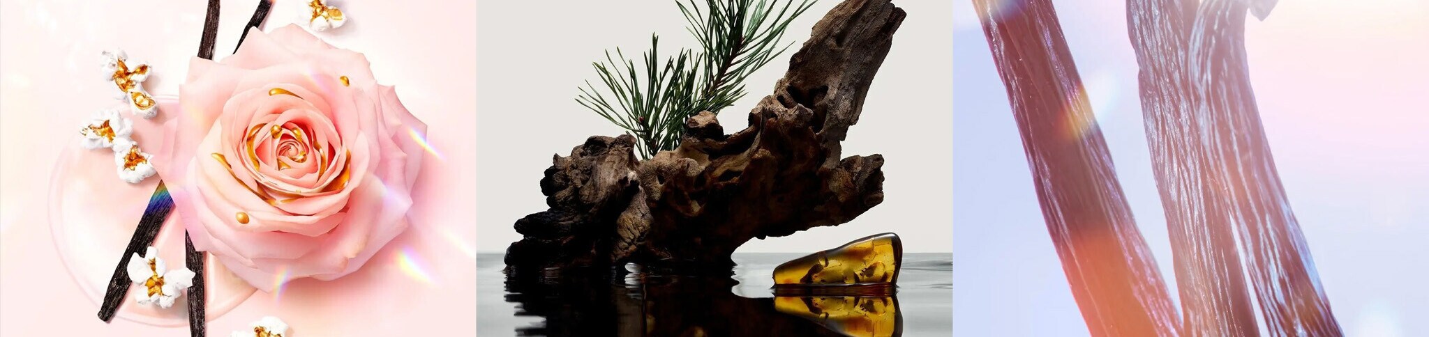 6 Perfumes de Inverno