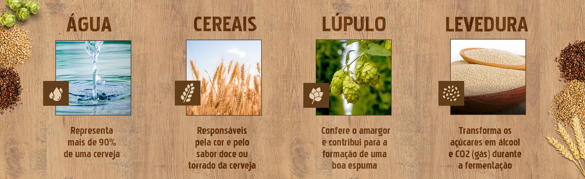Ingredientes