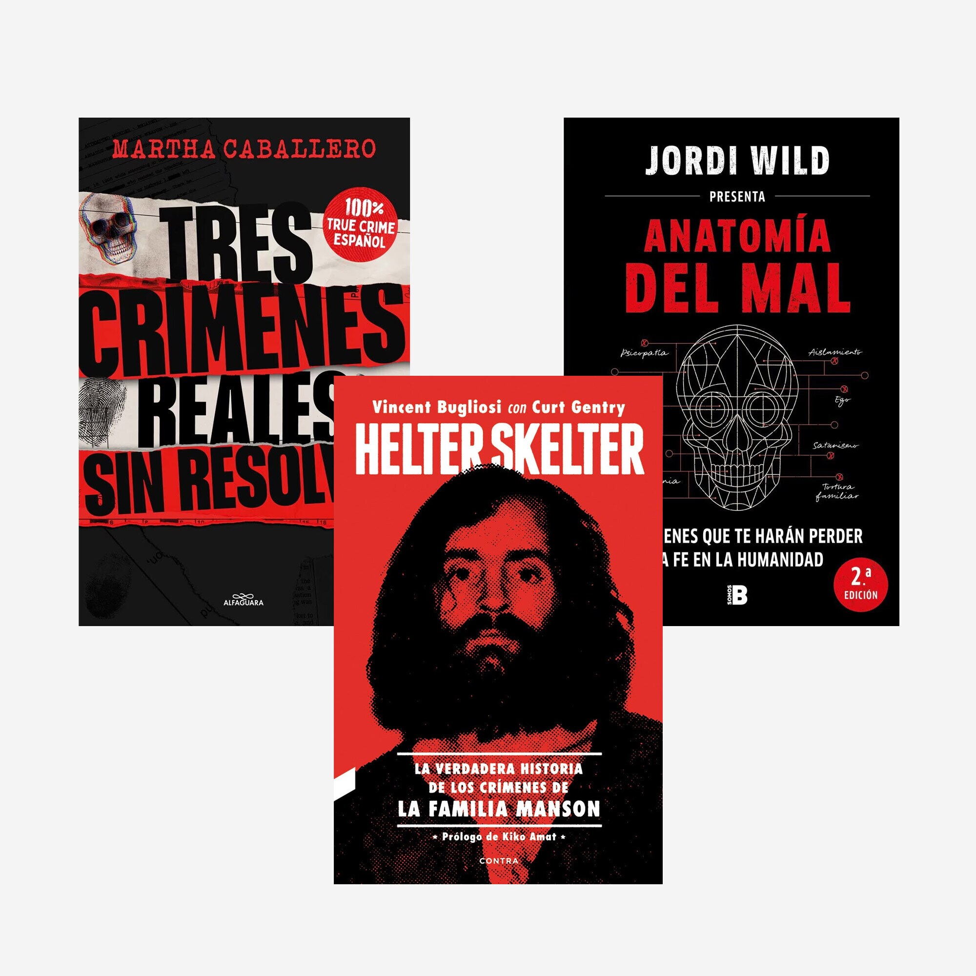 Día del Libro