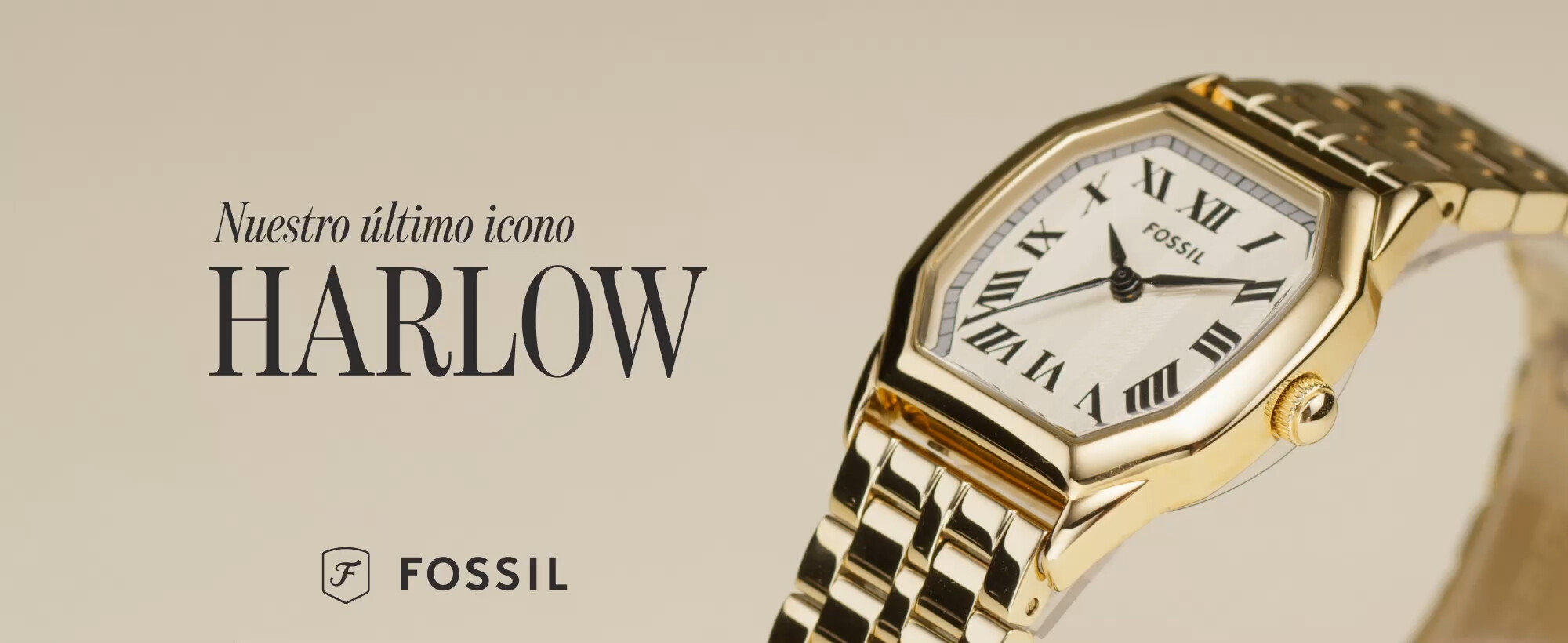 fossil video