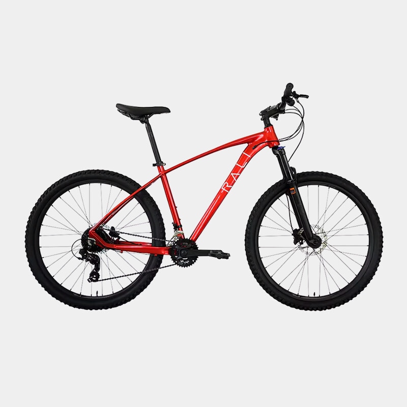 Bicicletas