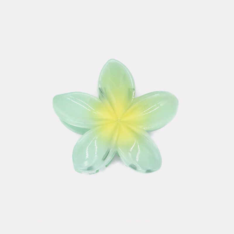 Accesorios de pelo de verano