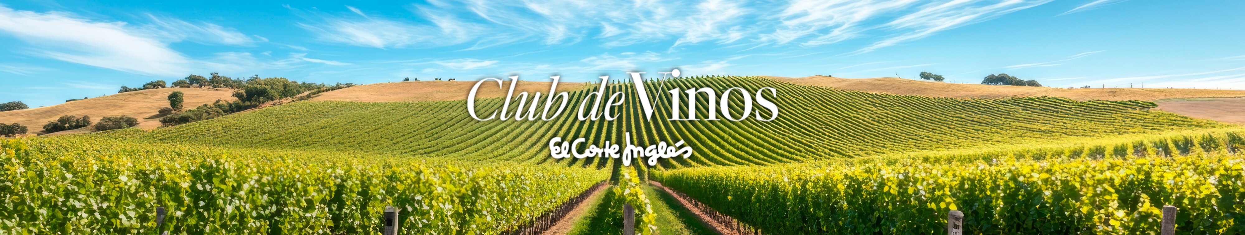 CLUB DE VINOS