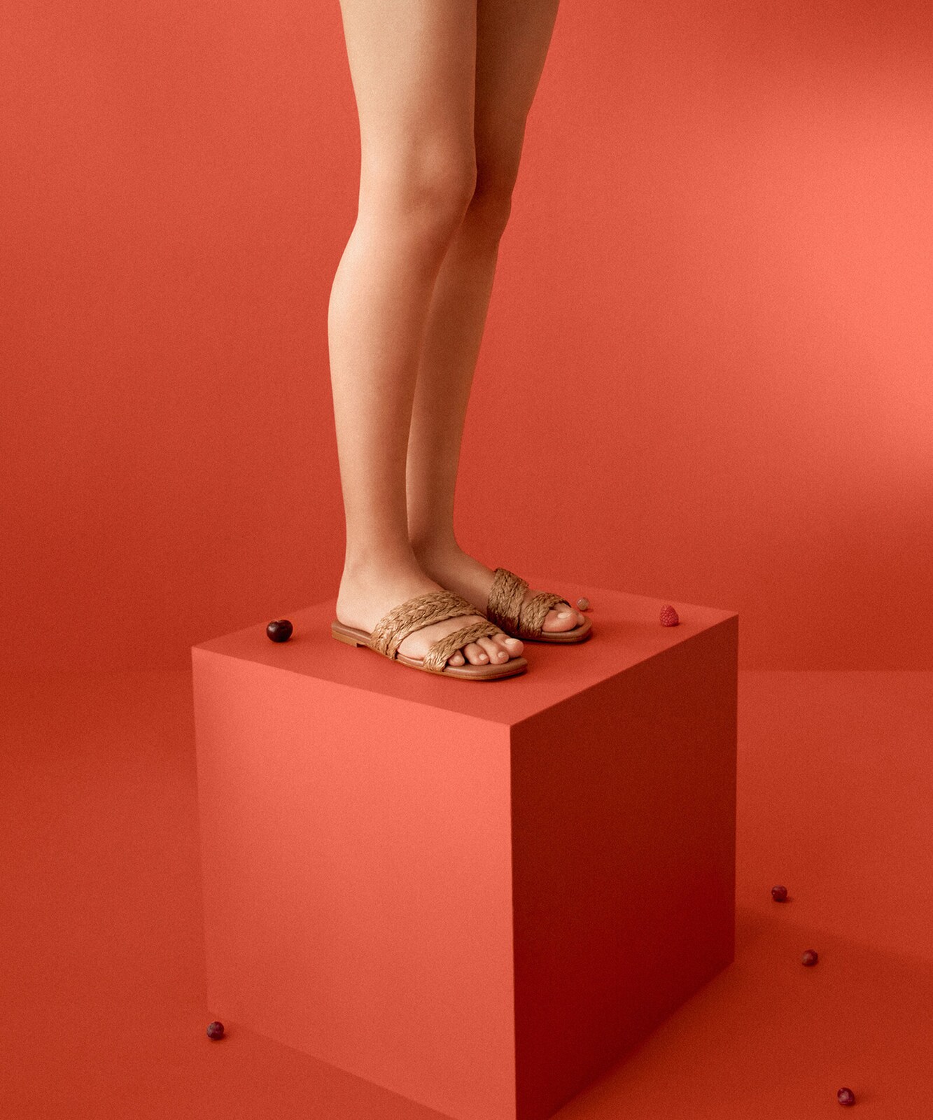 CASTAÑER · Planas