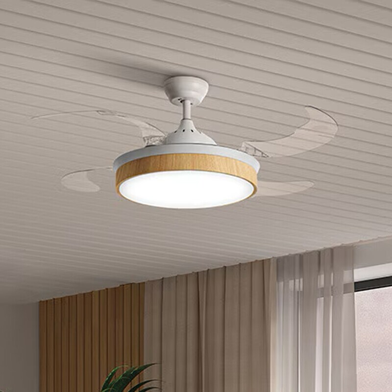 Ventiladores de techo