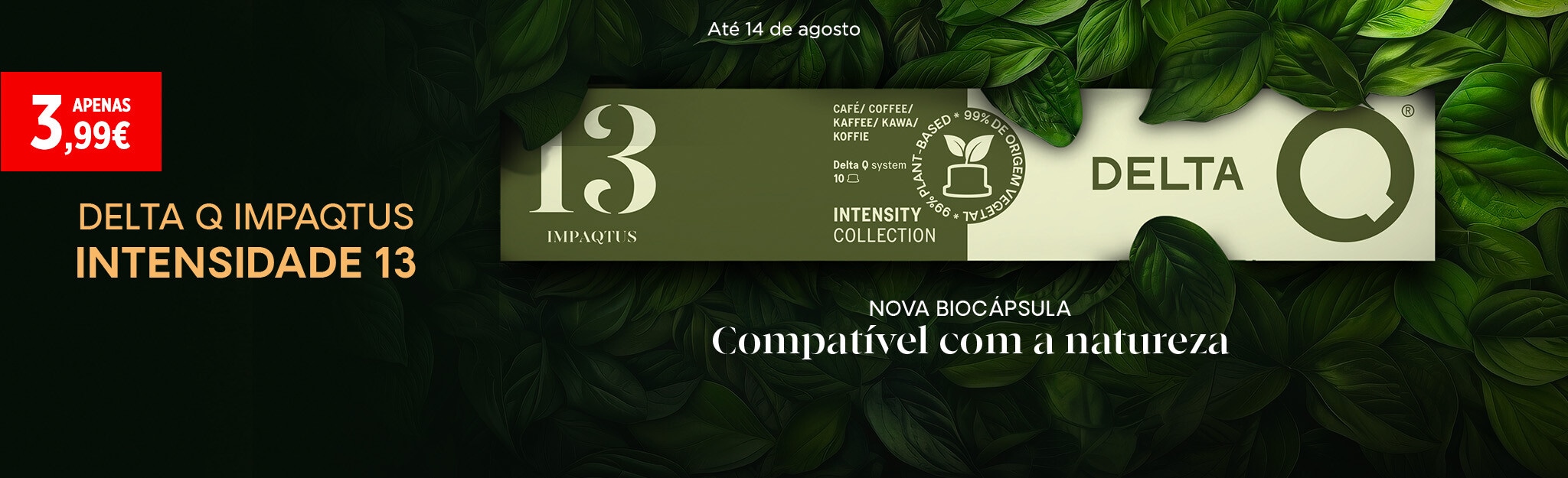 PUB Delta Q - Impactus intensidade 13