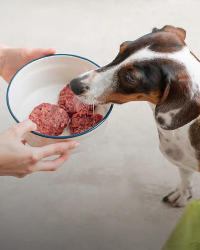 Dieta Barf