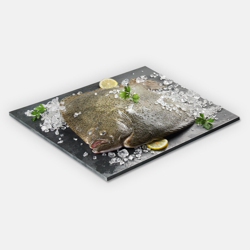 Pregado Aquicultura