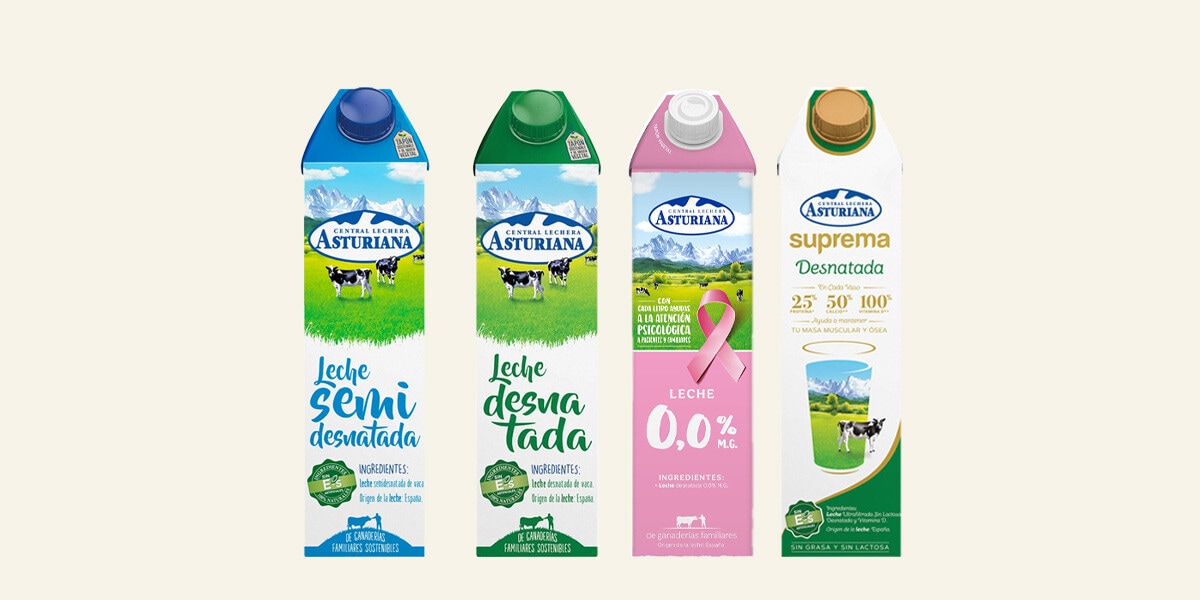 LECHE BRICK 1 L ASTURIANA