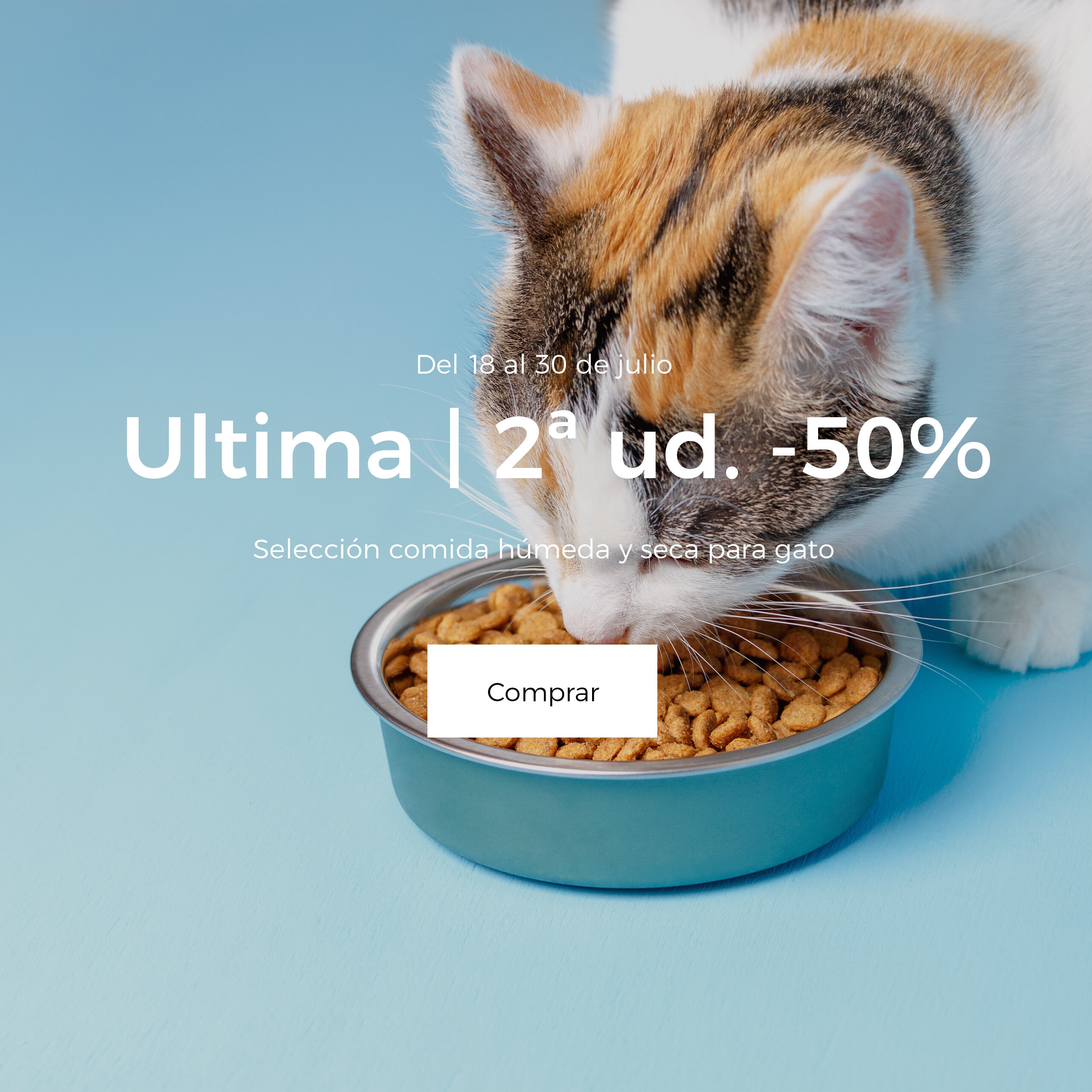 Ultima | 2ª ud -50