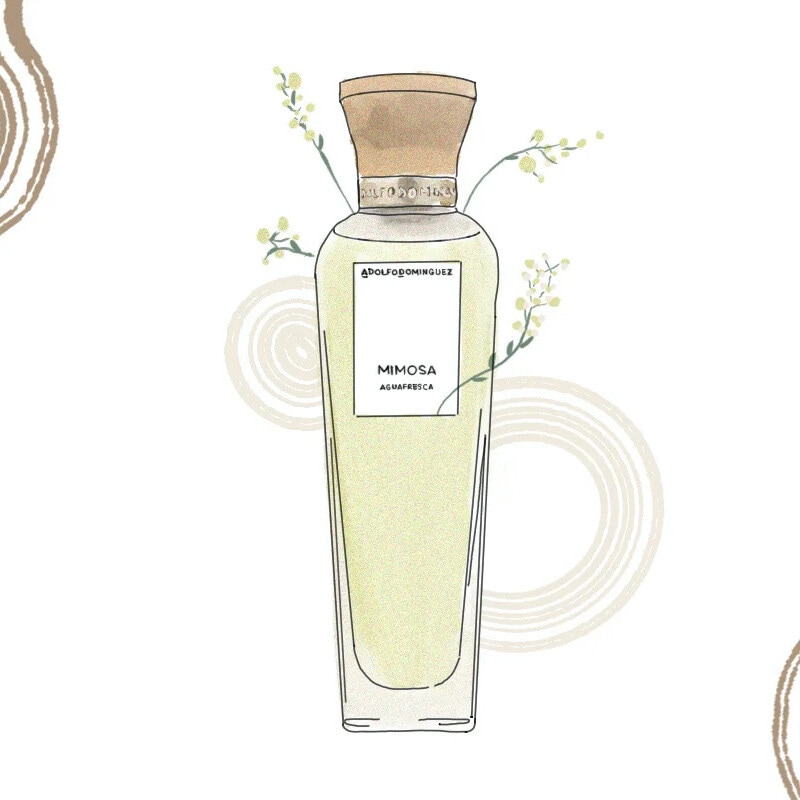 Perfumes con mimosa