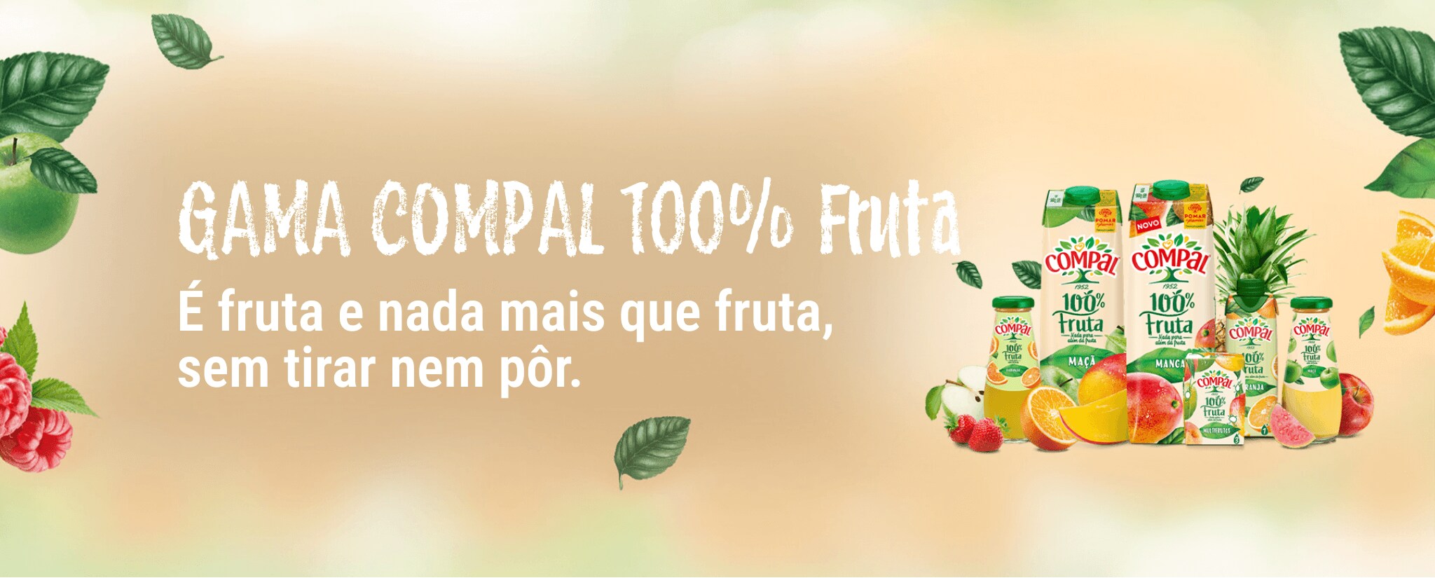 100% Fruta