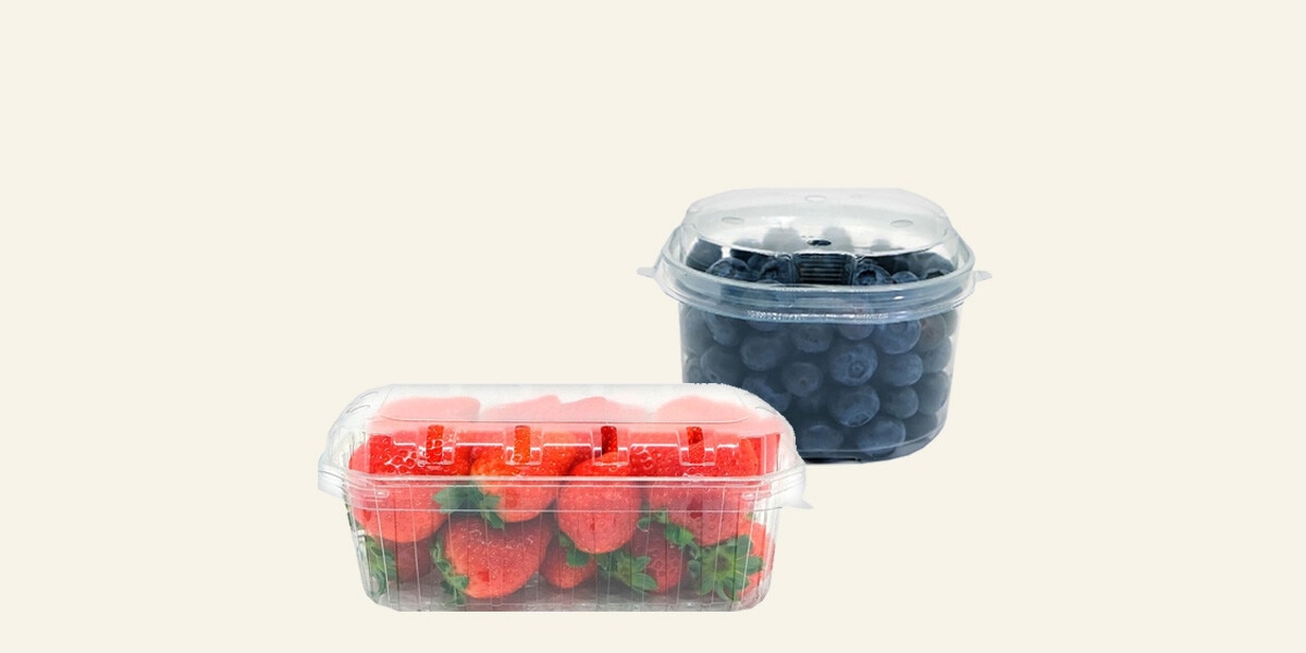 FRESAS O ARÁNDANOS FRESCO