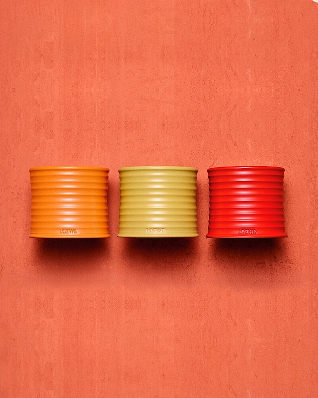 Comprar perfumes Loewe
